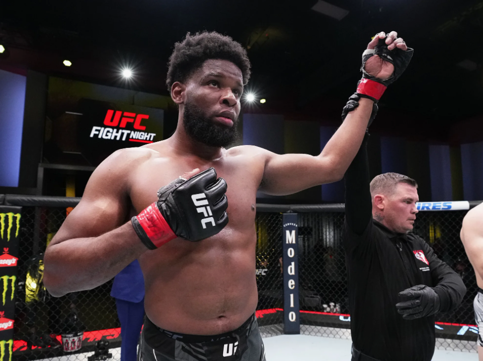 Нзечукву – Уолкер прогноз на UFC Нэшвилл 13 июля 2025 года
