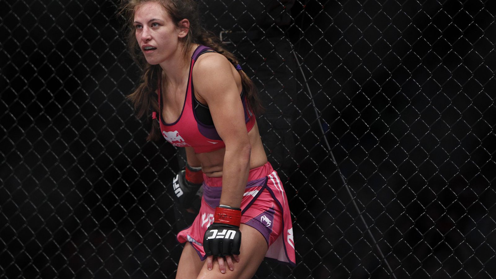 Сантос – Тейт прогноз на UFC on ESPN 67 4 мая 2025 года