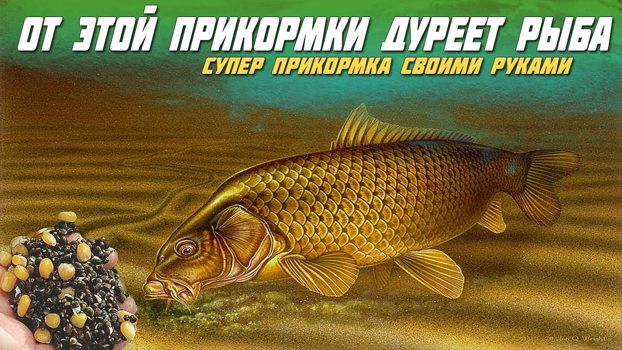 Моя тут исполняет дурею. Моя тут исполняет дурею