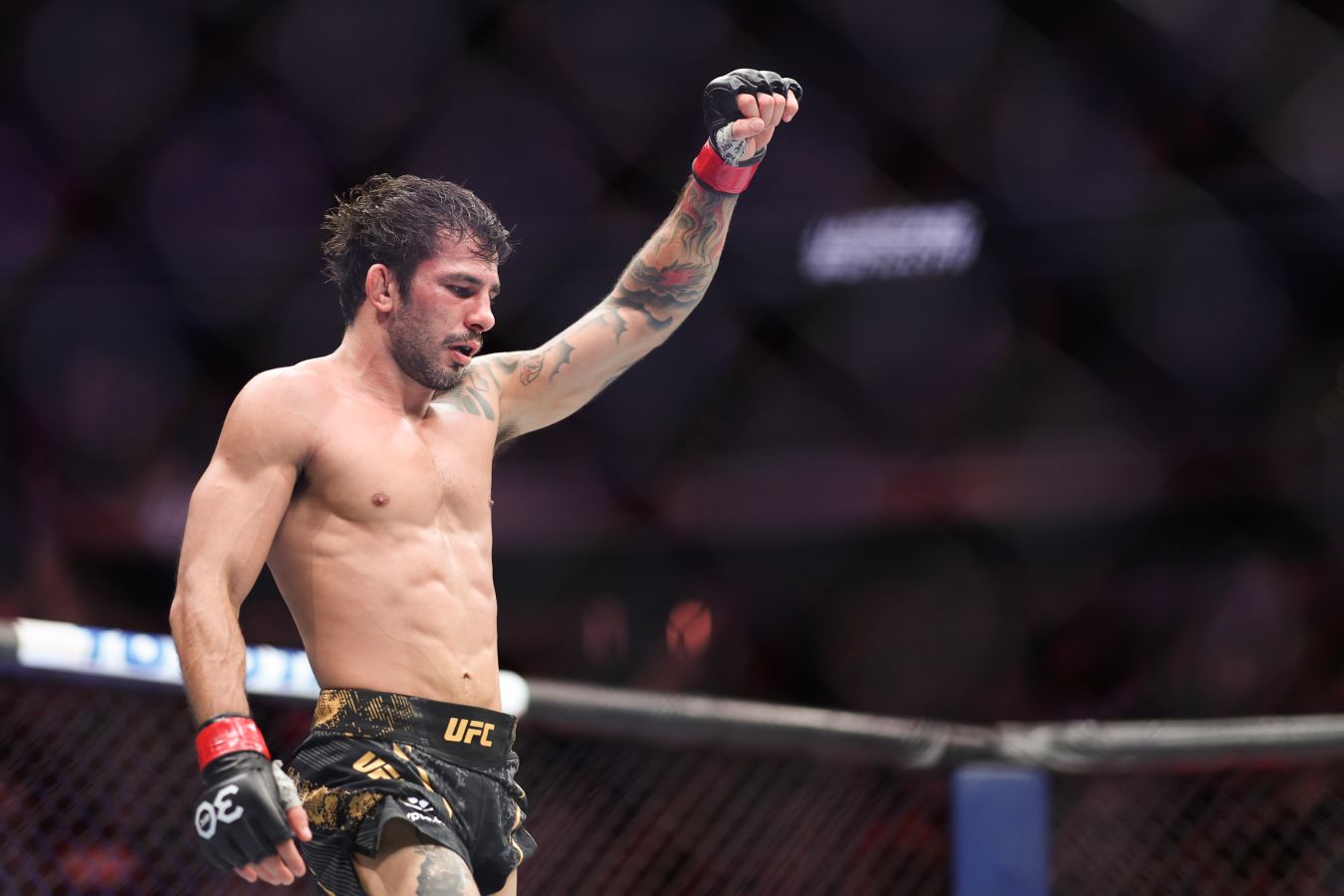 Пантожа – Кара-Франс прогноз на UFC 317 29 июня 2025 года