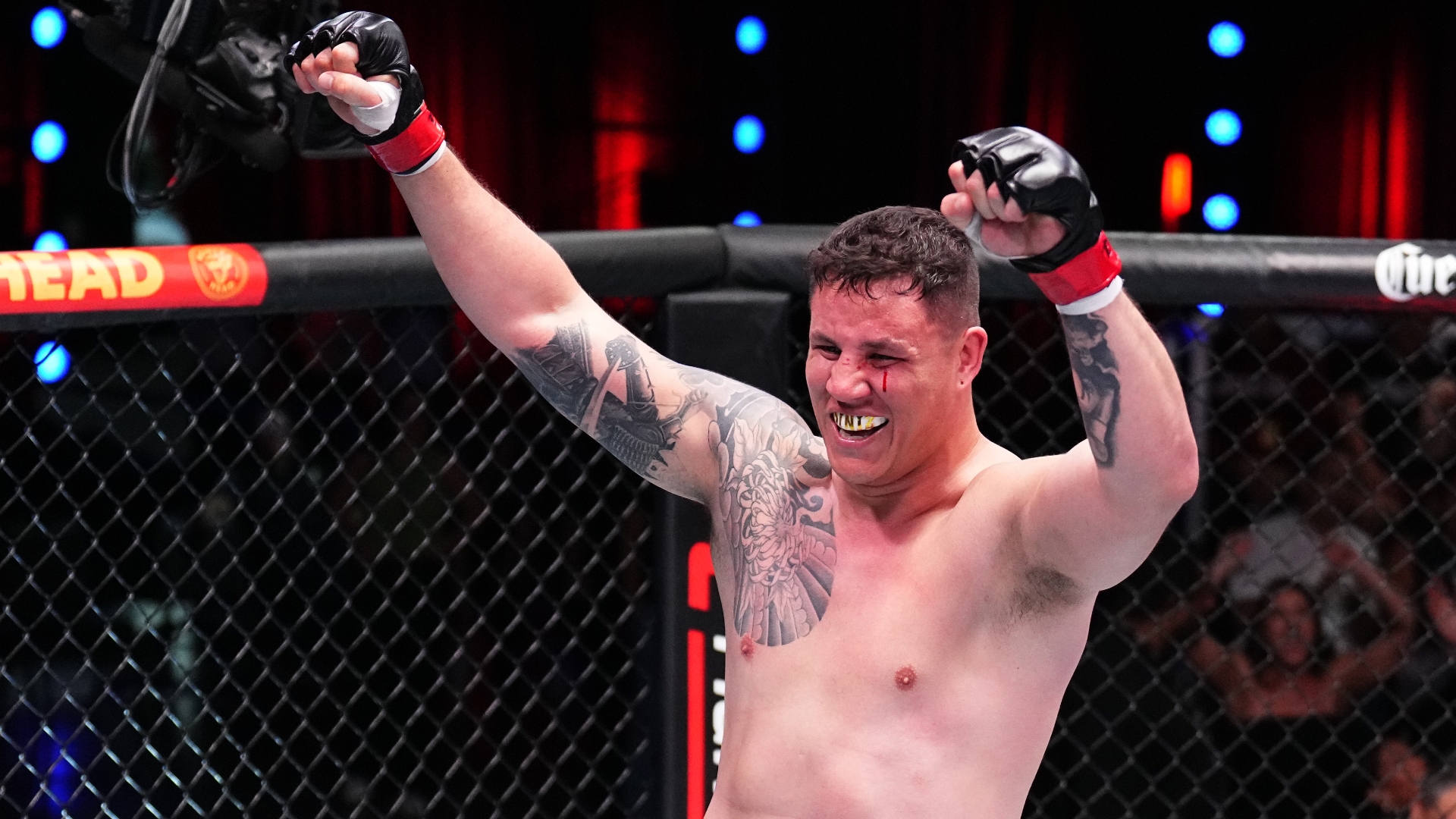 Динис –  Хайнс прогноз на UFC 317 29 июня 2025 года