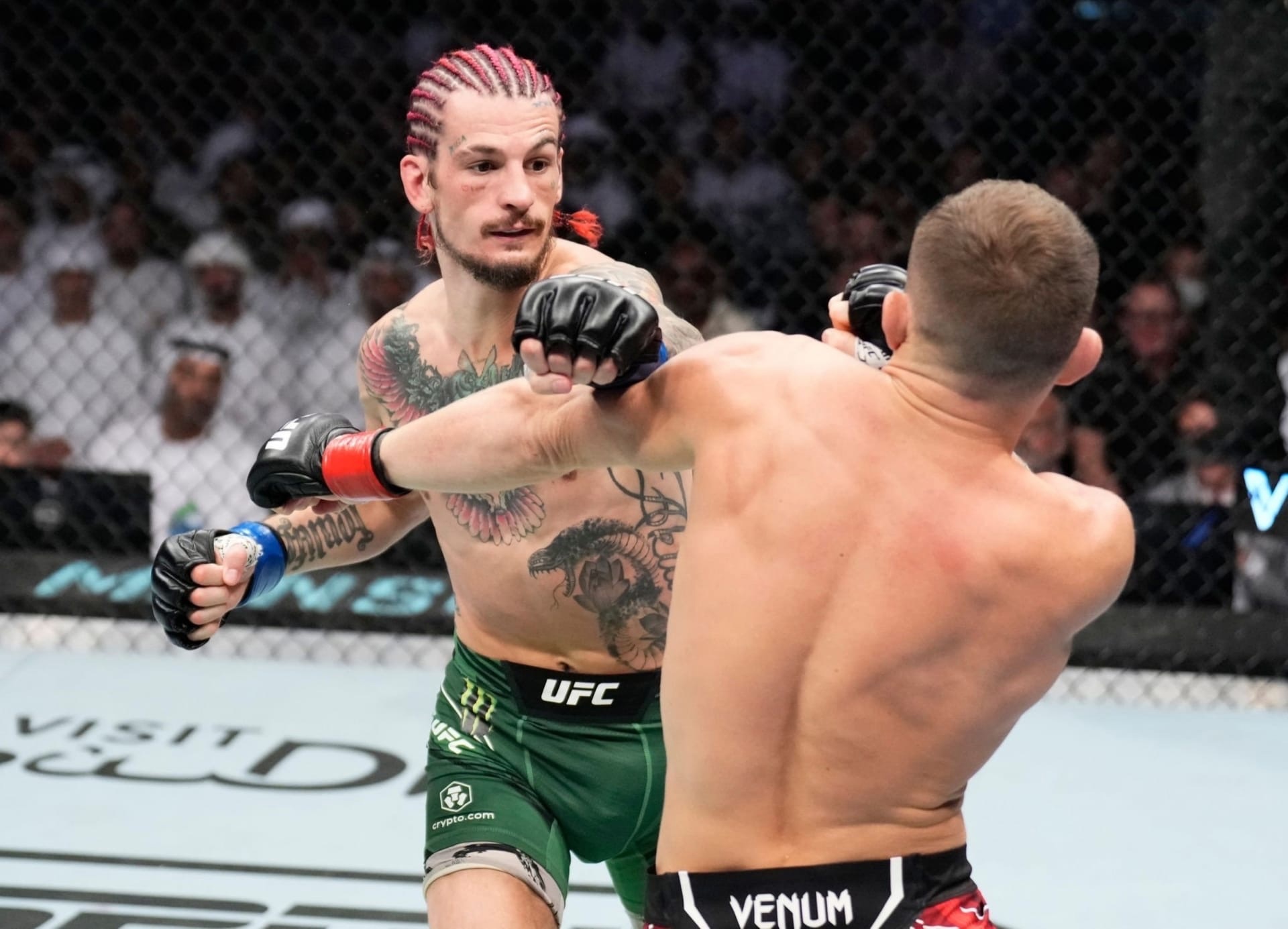 Шон омелли. Шон о’мэлли  боец ufc. Шон боец юфс. Боец шон о мэлли. Шон о мэлли ufc.