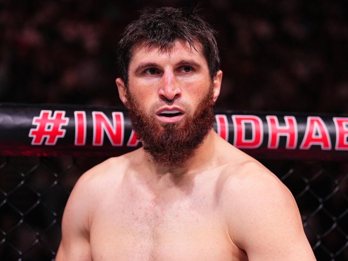 Перейра – Анкалаев прогноз на UFC 313 9 марта 2025 года