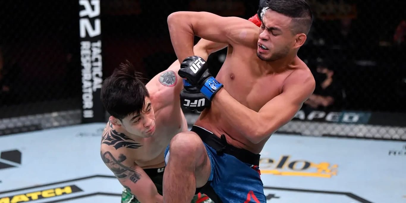 UFC Fight Night 237