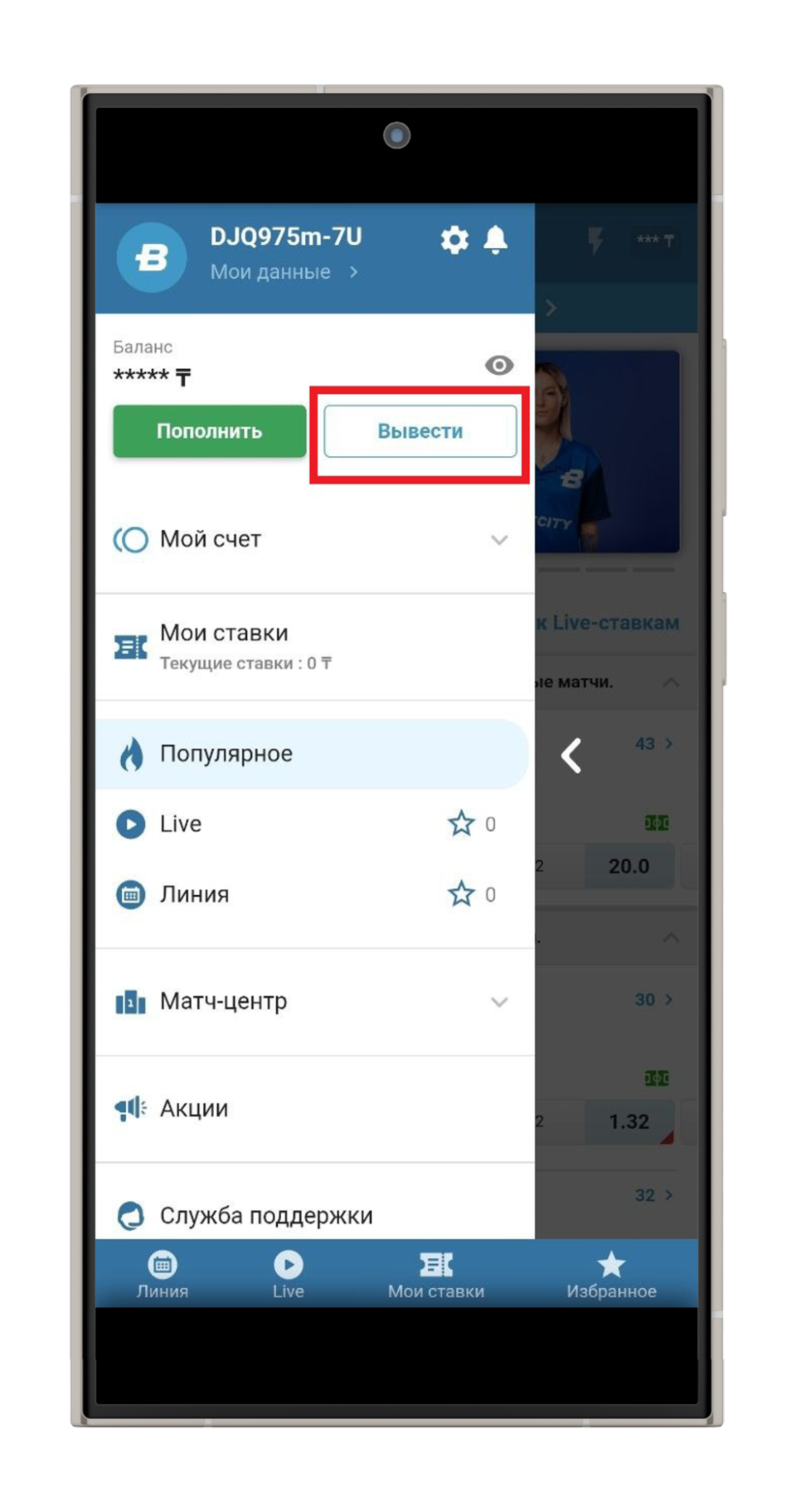 Вывод средств