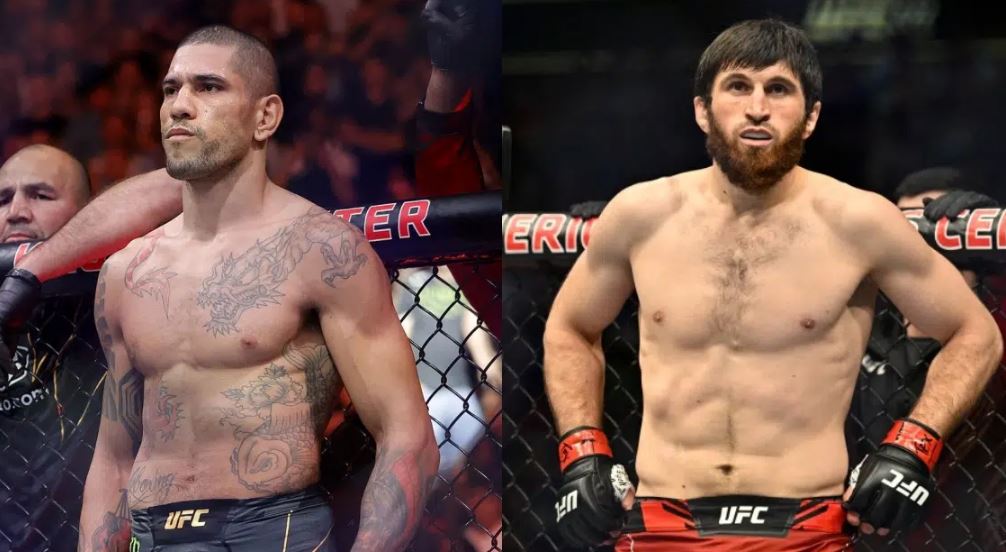 Orgazm bilan porno yulduzlar