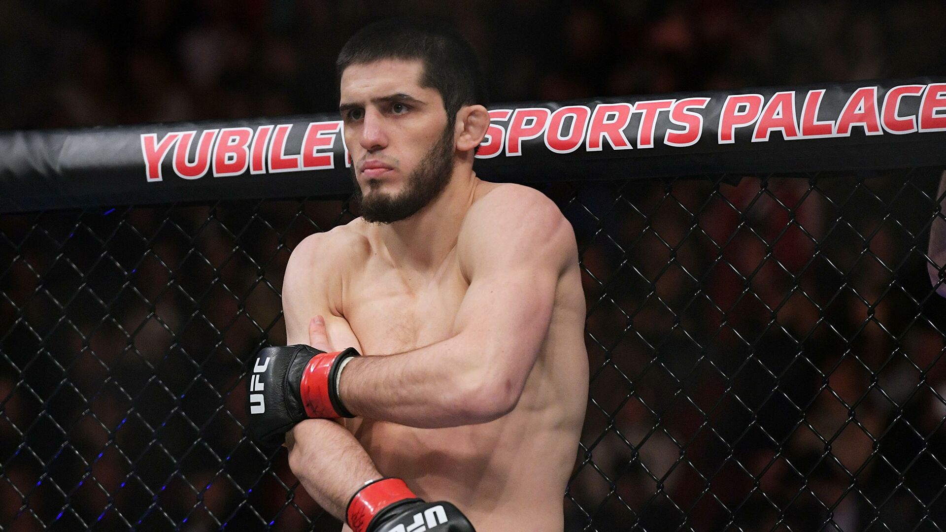 Махачев удушающим приемом победил Добера на UFC 259