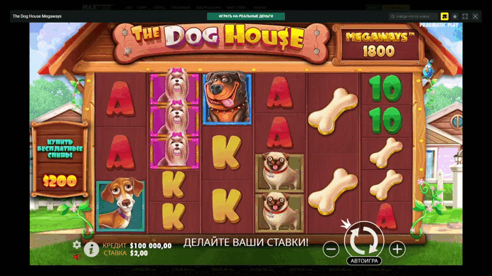 Dog House Megaways играть бесплатно и без регистрации в игровой автомат