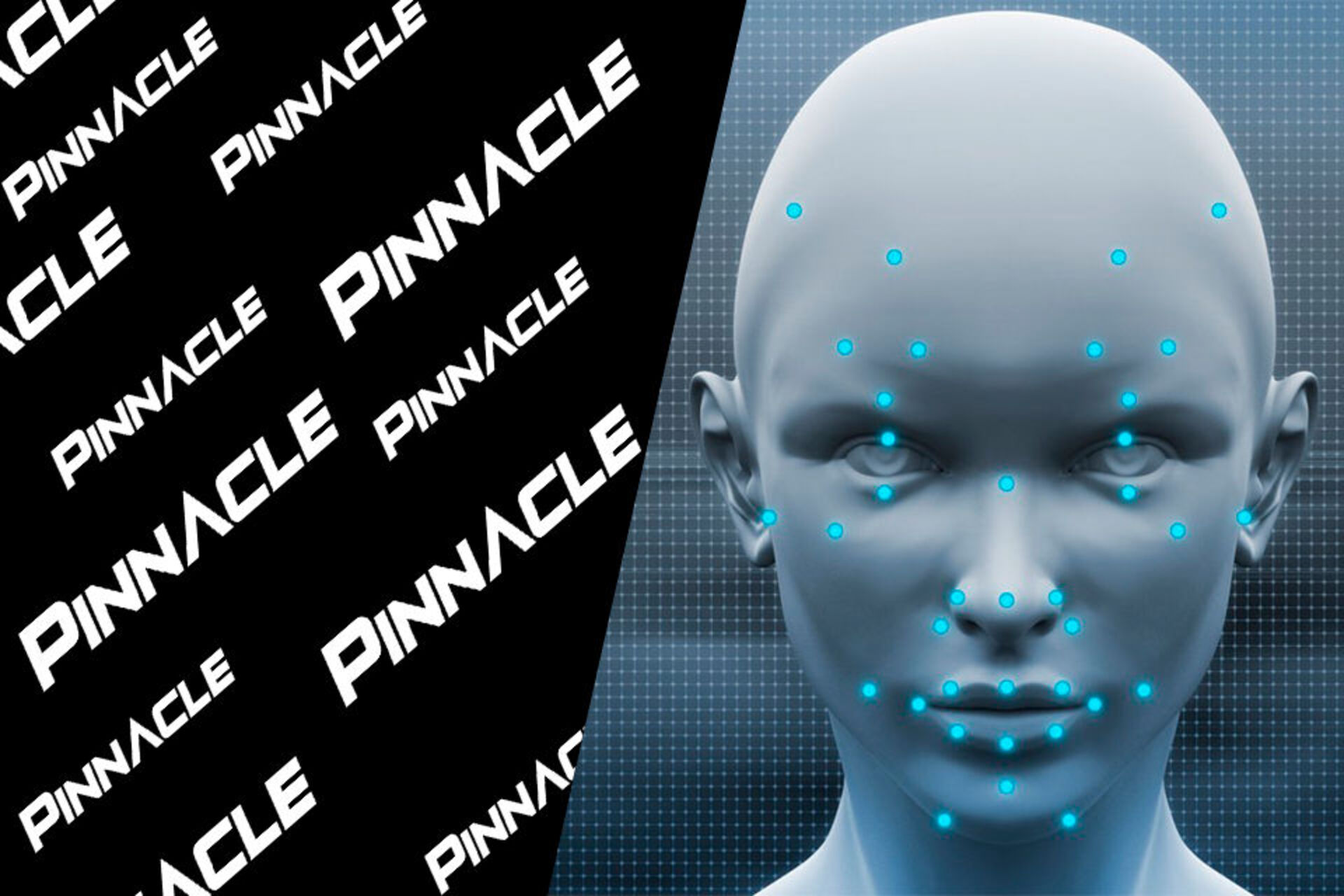 Верификация Pinnacle