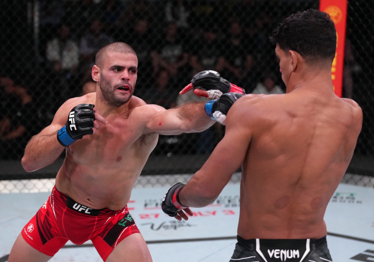 Баеза - Фиальо 