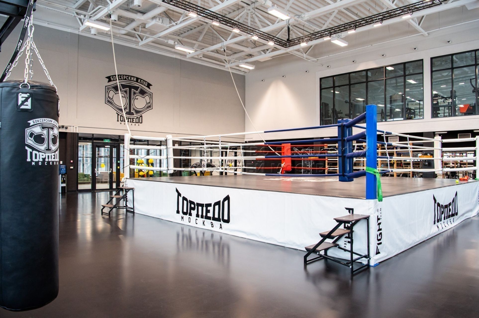 Знаменитая школа бокса