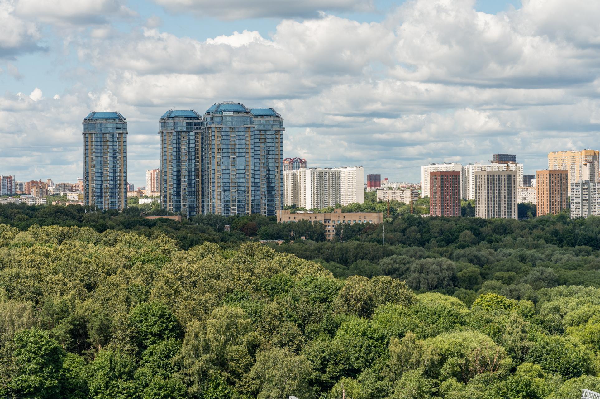 Живописные виды на природный заказник и полувековые деревья