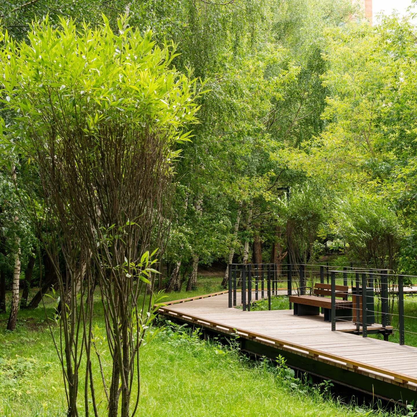 Заказник «Долина реки Сетунь»
700 га