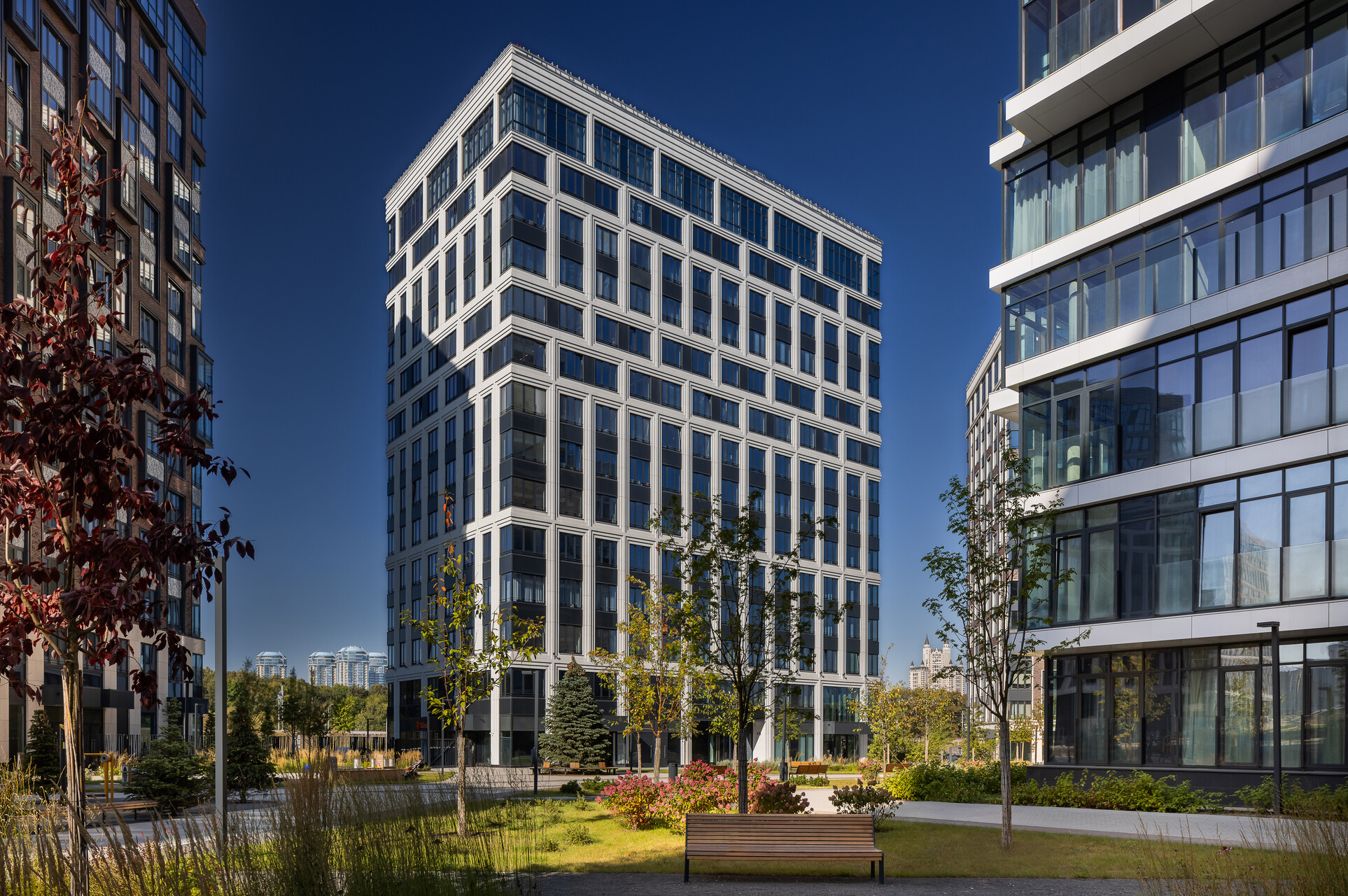 Более 80 видов ароматных трав и цветов