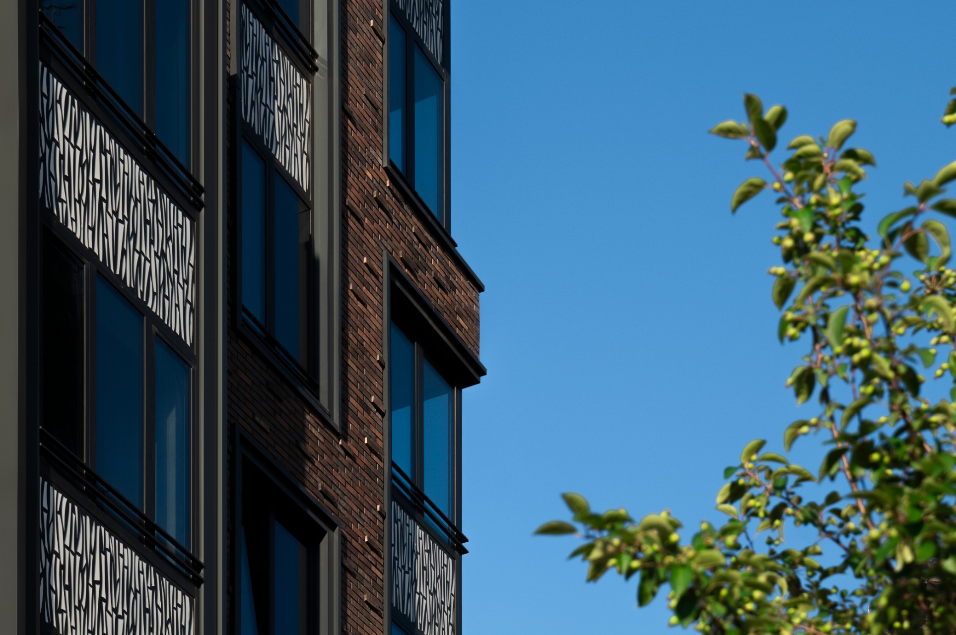 Выразительные фасады