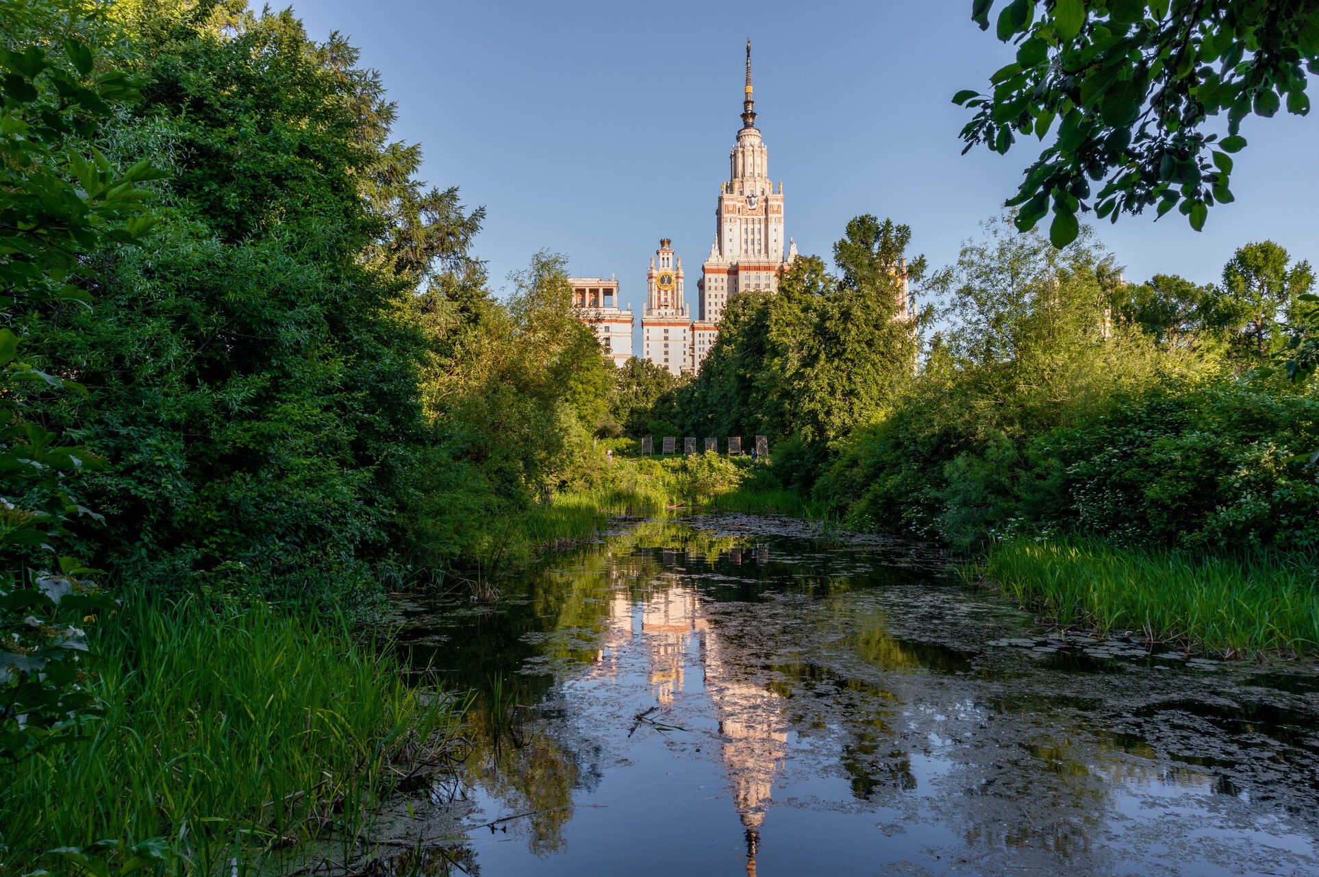 Пространство вдохновения среди экзотических цветов