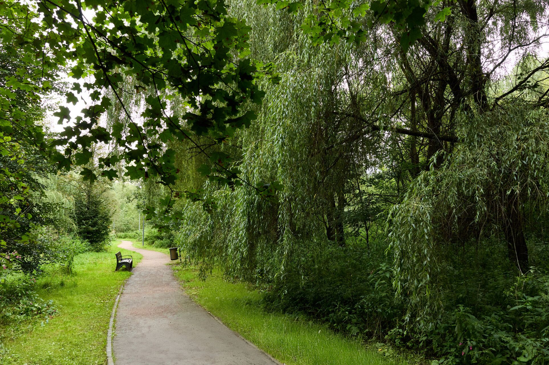 700 гектаров воздуха, тишины и гармонии — у дома