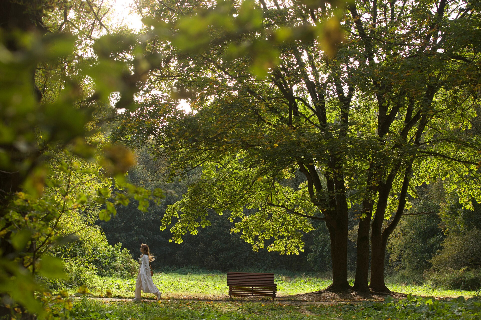 Самый крупный заказник Москвы — 700 гектаров зелени рядом
