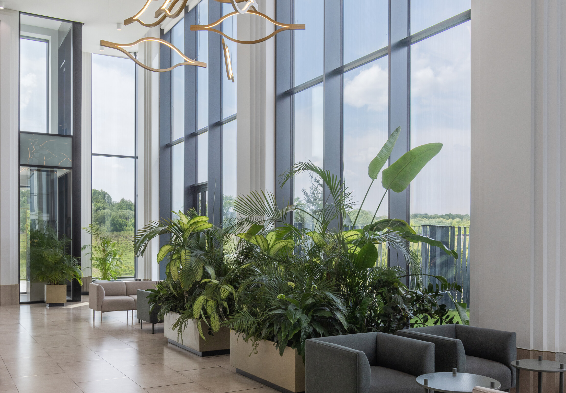 Насыщенное озеленение