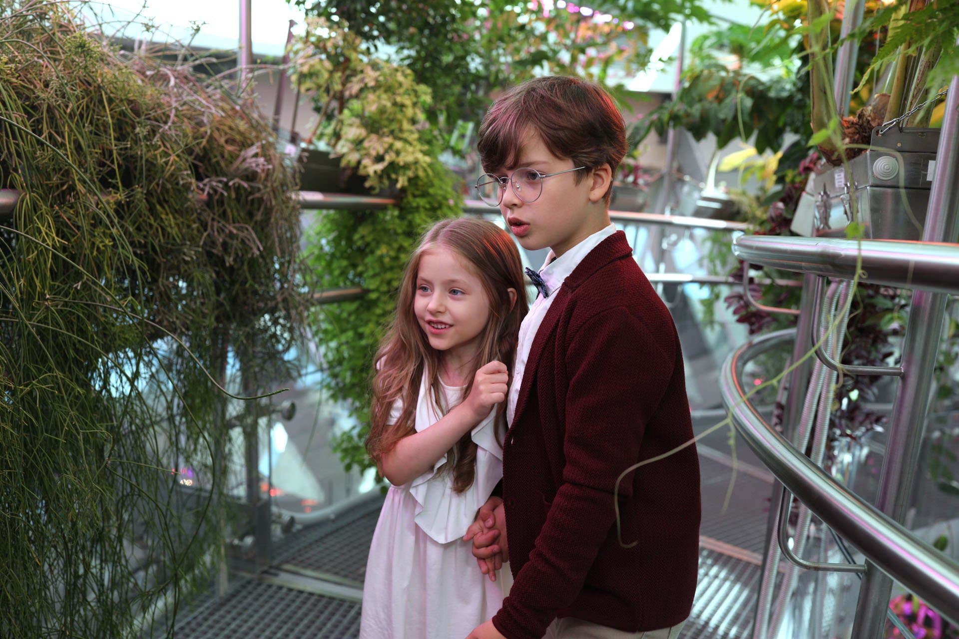 Экспериментальная оранжерея в парке «Зарядье»