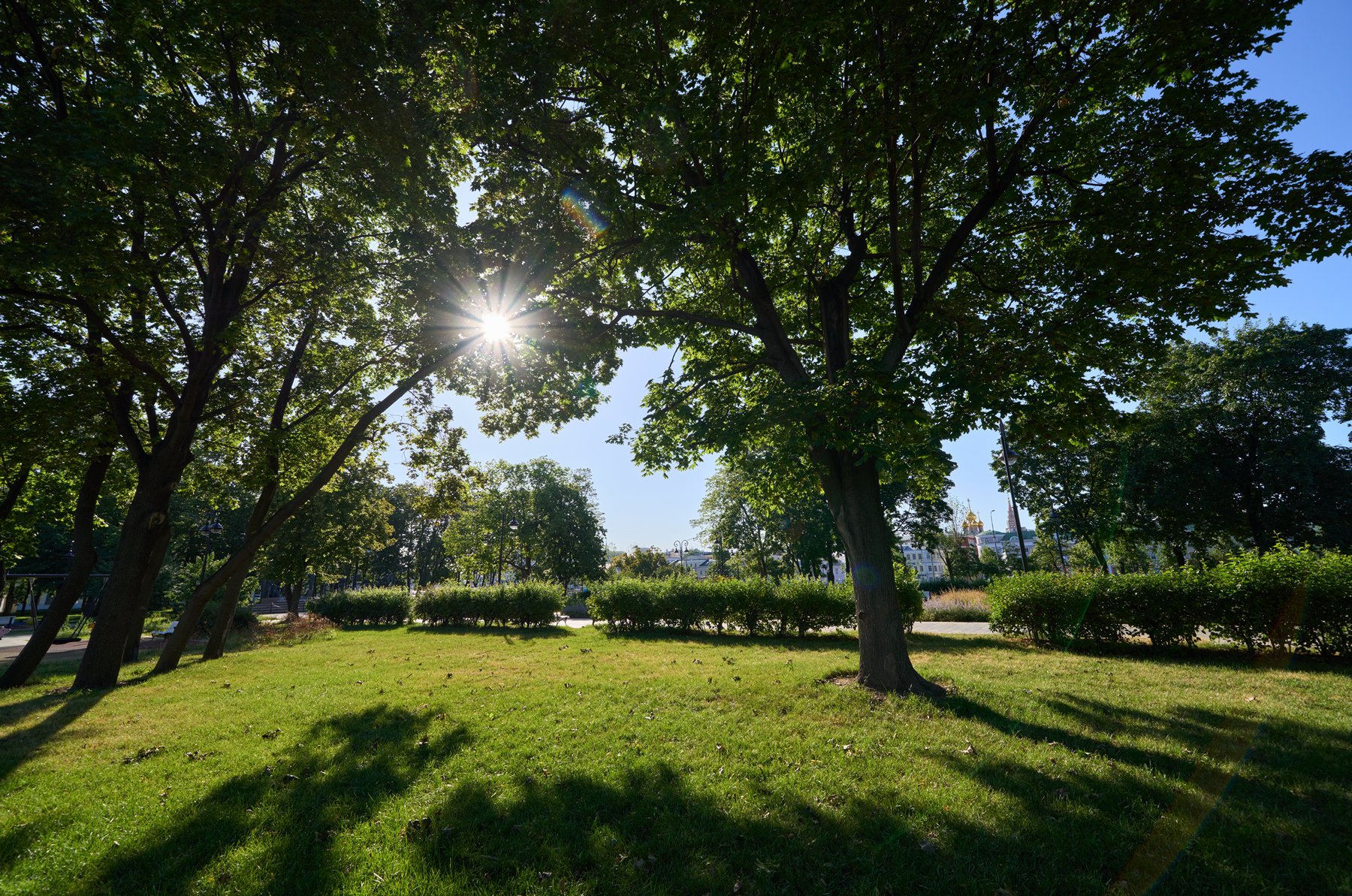 Репинский сквер