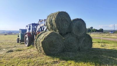 Сабантуй в Малмыже. Фото: МАЛМЫЖ - ИНФО | Афиша, новости, события, ВКонтакте