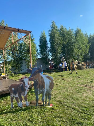 Сабантуй в Малмыже. Фото: Мария Малмыж, ВКонтакте