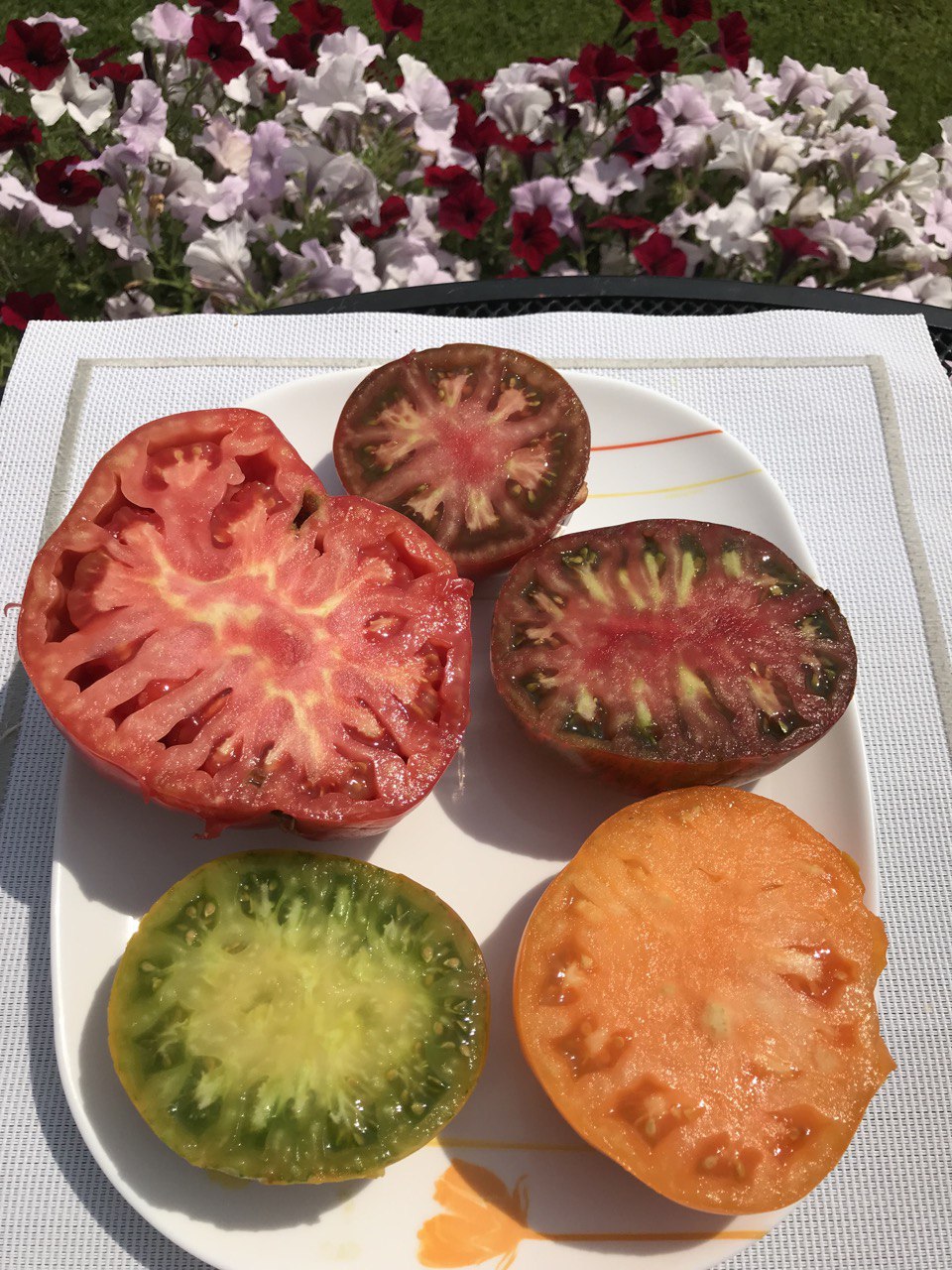 Пособие по выращиванию томатов