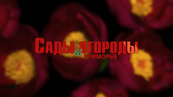 На 8 канале вышел майский выпуск программы "Сады и огороды Приморья"