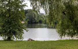Лост-кислород - п. Южный форт.  - фото 57