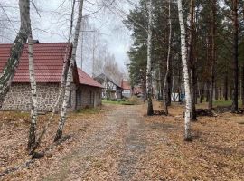 Оксенфурт. - СДТ Локомотивного депо (Елшняги),. Кинель - фото 8