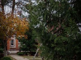 Загородный комплекс Цветок - Подсухина. пгт Волжский - фото 30