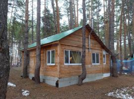 50 м² на участке 100 сот - Родниковая. село Малая Царевщина - фото 9