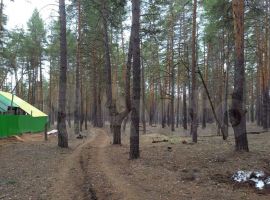 50 м² на участке 100 сот - Родниковая. село Малая Царевщина - фото 11