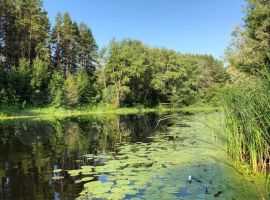 200 м² на участке 17 сот - Родниковая. село Рождествено - фото 26