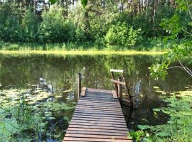 200 м² на участке 17 сот - Родниковая. село Рождествено - фото 28