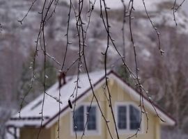 в горах - садовое общество Ягодка. село Ширяево - фото 3