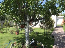 70 м² на участке 12 сот. - 1-я полоса. село Подстёпки - фото 18