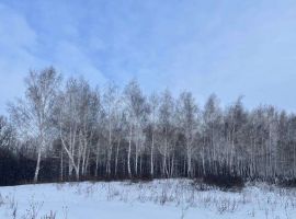 40 м² на участке 2 сот - центральная. село Белозерки - фото 26