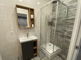 100 м² на участке 4.5 сот - 11 й Благополучный пер. село Подстёпки - фото 8