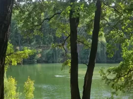 в Заярье - Солнечная. пгт Петра Дубрава - фото 21