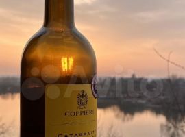 Дом 90 м² на участке 3 сот. - Береговая (ТСГ N 709 тер). Энгельс - фото 3