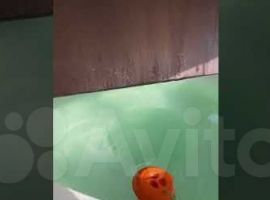 3-к. дом, 100 м² - .  - фото 1