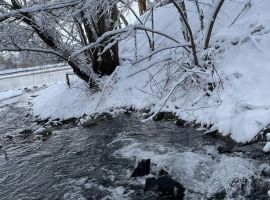 Дом 500 м² на участке 10 сот. - . Волгодонск - фото 22