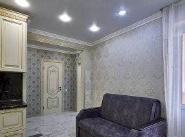 1-к кв. Саратовская область, Саратов ул. Имени В.Н. Симбирцева, 40 (43.0 м²) - . Саратов - фото 12