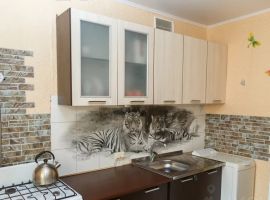 1-к кв. Саратовская область, Балашов ул. Строителей, 6Б (33.0 м²) - Строителей. Балашов - фото 4