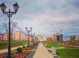1-к кв. Саратовская область, Саратов просп. Героев Отечества, 4А (30.0 м²) - . Саратов - фото 22