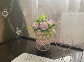 1-к кв. Саратовская область, Саратов Рабочая ул., 49 (47.0 м²) - Рабочая. Саратов - фото 10