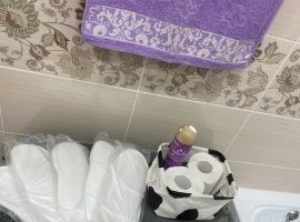 1-к кв. Саратовская область, Саратов Рабочая ул., 49 (47.0 м²) - Рабочая. Саратов - фото 17