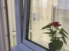 1-к кв. Саратовская область, Саратов Рабочая ул., 49 (47.0 м²) - Рабочая. Саратов - фото 29